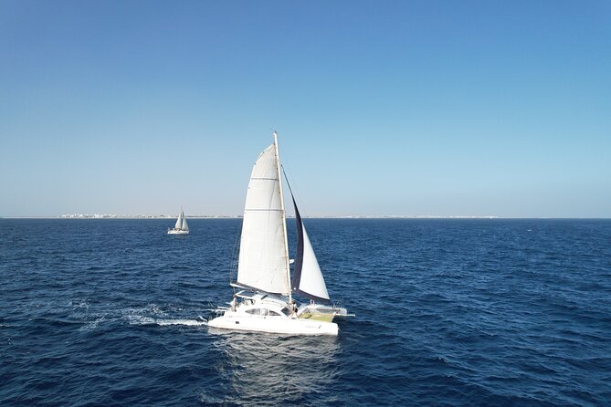 Catamaran Half Day - Beautiful day on the Atlantic Ocean - Is $68.36 good value?