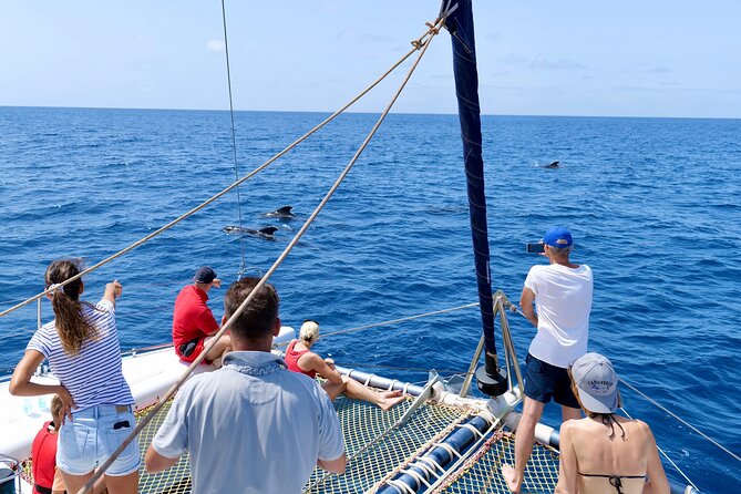 Catamaran Half Day - Beautiful day on the Atlantic Ocean - What the three-hour route is really like