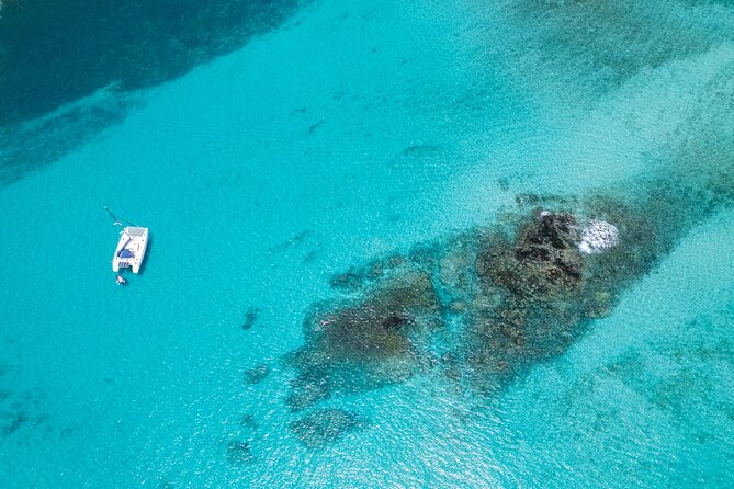 Catamaran Sailing Tour or Whale Watching at Boa Vista - Key points at a glance