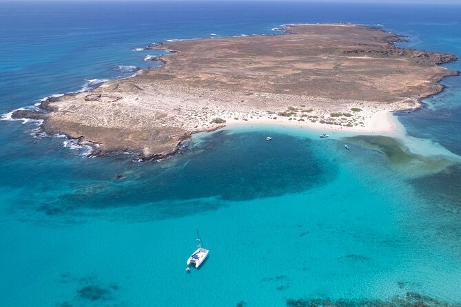 Catamaran Sailing Tour or Whale Watching at Boa Vista - Summer sailing across Sal Rei Bay
