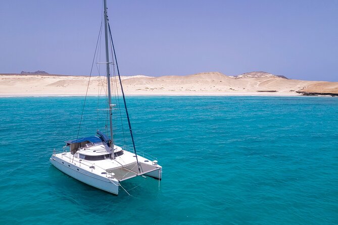 Catamaran Sailing Tour or Whale Watching at Boa Vista - Who will enjoy this Boa Vista sailing?