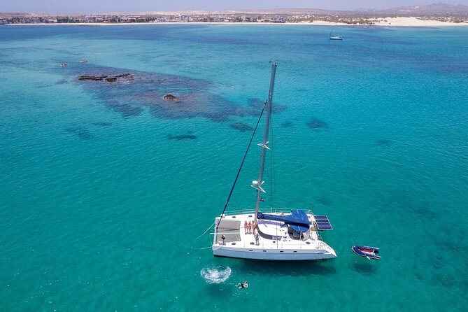 Catamaran Sailing Tour or Whale Watching at Boa Vista - Winter whale watching under sail