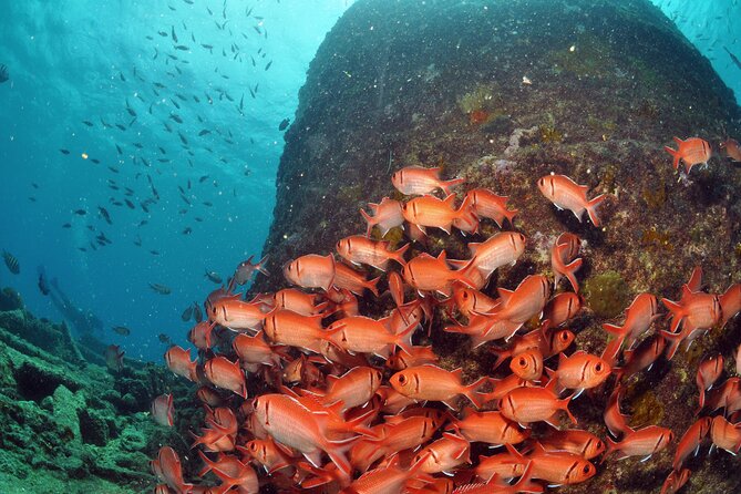 Discover Scuba Diving in Sal - Who will get the most from this experience