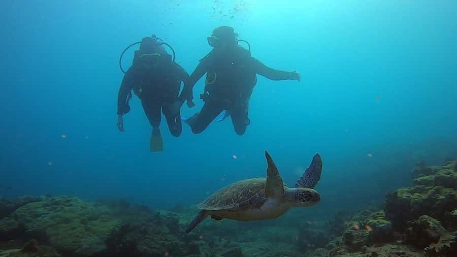 Discover Scuba Diving Program for Beginners - Why the shallow-water practice matters
