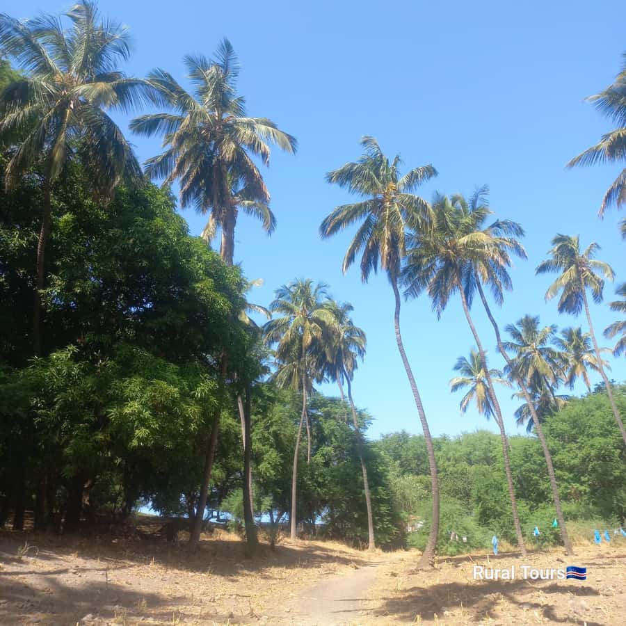 Discover the Black Sand Beach+the Natural Pool - The Best Parts, and the Limits
