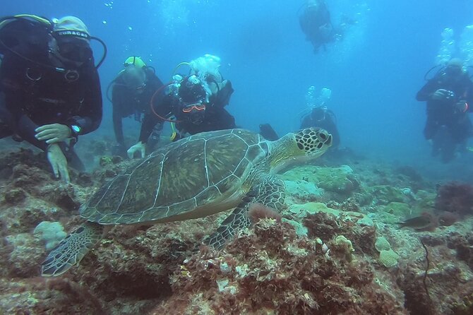 Double Diving in Sal Island - Half Day - Is $104.68 a fair price?