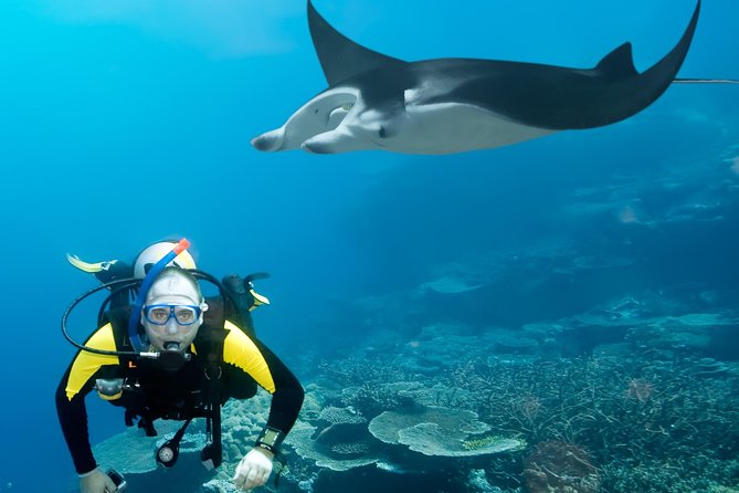 Double Diving in Sal Island - Half Day - Should you book it?