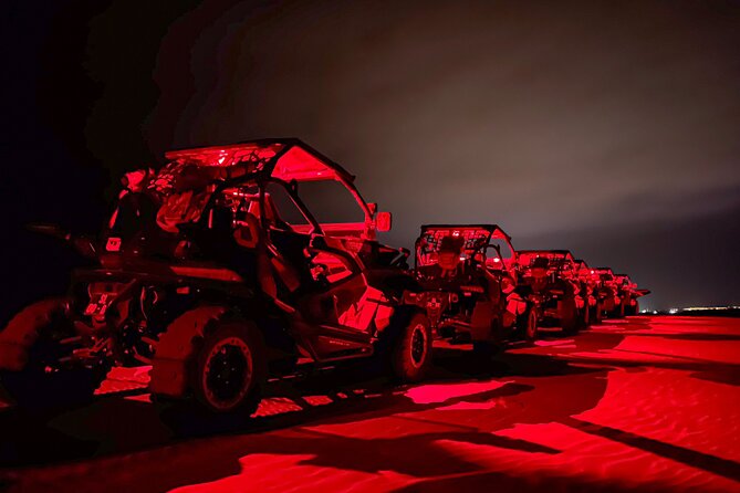 Exciting Buggy Adventure under the Stars in Boa Vista - Who will enjoy this most