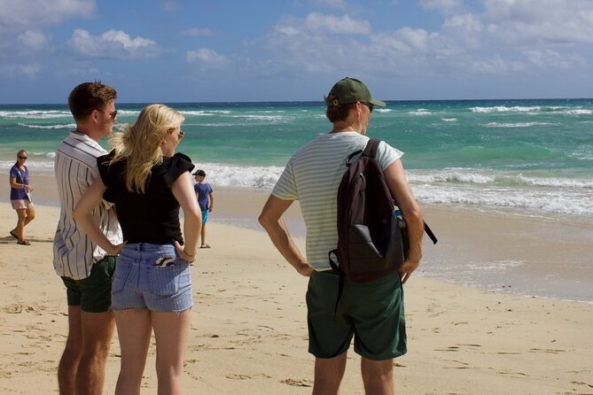 Exclusive Sal Island - Full Day Personalized for You - Palmeira port and a local lunch choice