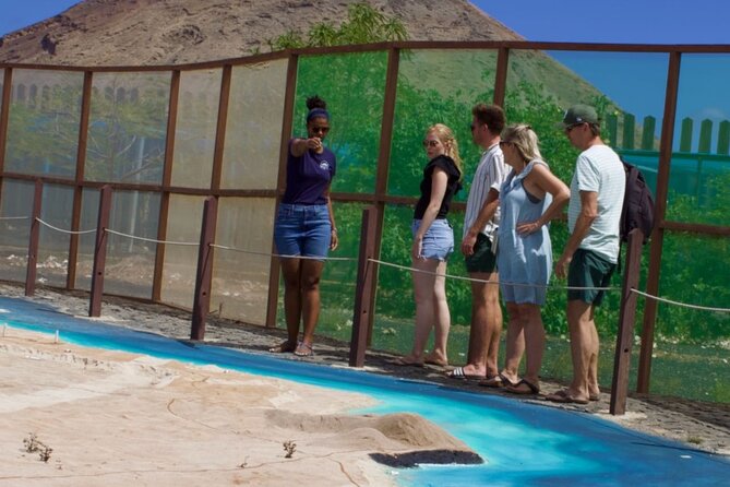 Exclusive Sal Island - Full Day Personalized for You - Santa Maria Salt Flats: a short look at Sal’s salt trade