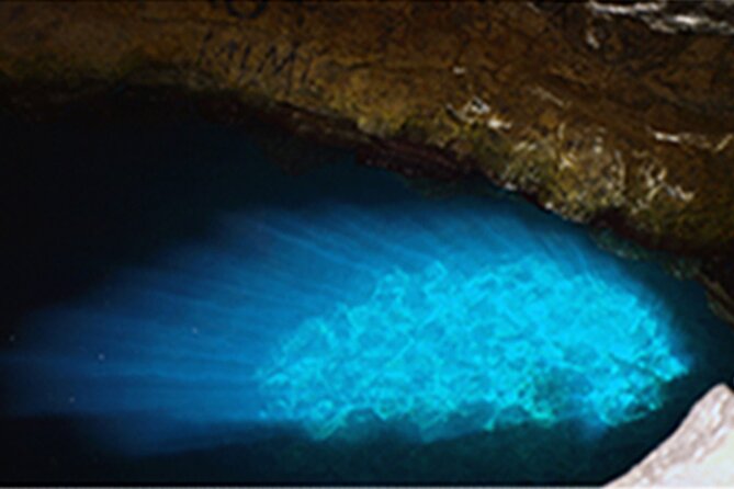 Experience on Sal Island with native and certified guide (including sharks) - Palmeira shows the working side of Sal