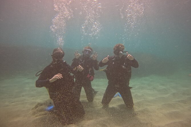 First Diving Experience Try Dive - Why the private format matters