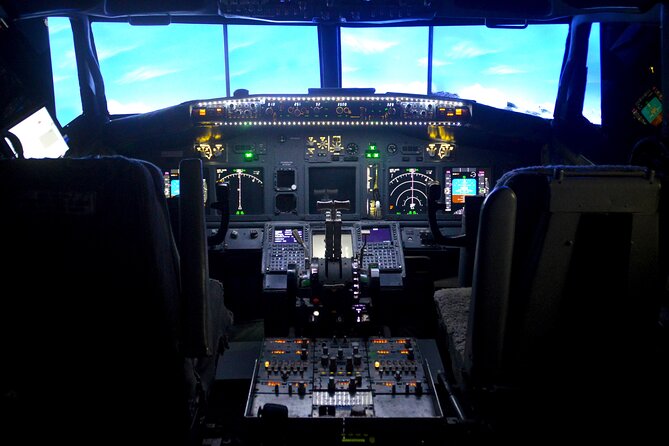 Flight Simulation Experience - The cockpit controls are the main attraction