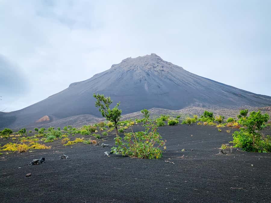 Fogo Island: Pico do Fogo Volcano Summit Hike - Why Pico do Fogo feels different from an ordinary mountain hike