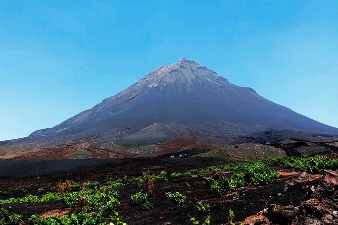 Fogo Island: Spectacular Vulcano HIking Experience(2829 m) - Starting at Cha das Caldeiras beneath the volcano