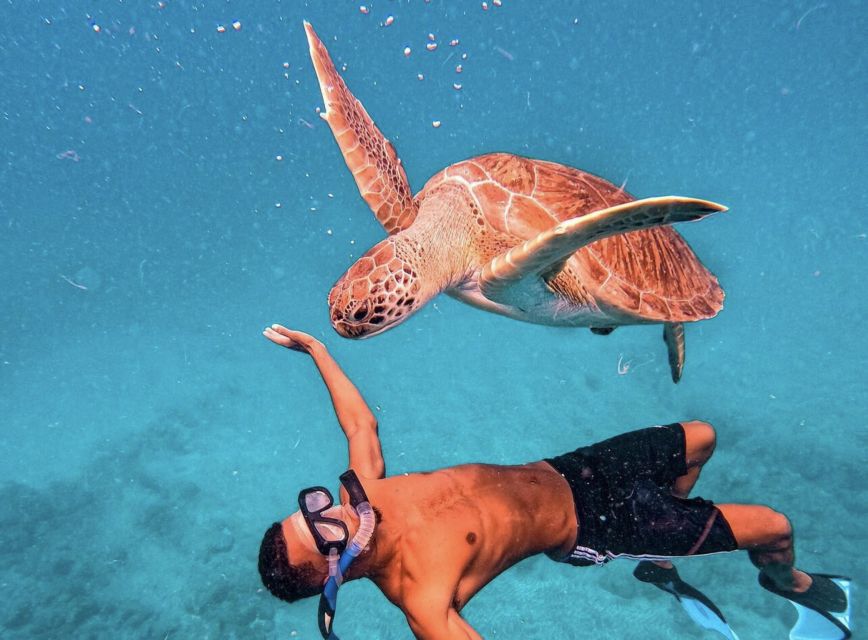 From Mindelo: São Vicente's Enchanting Sea Turtle Snorkeling - Is $70 a fair price?