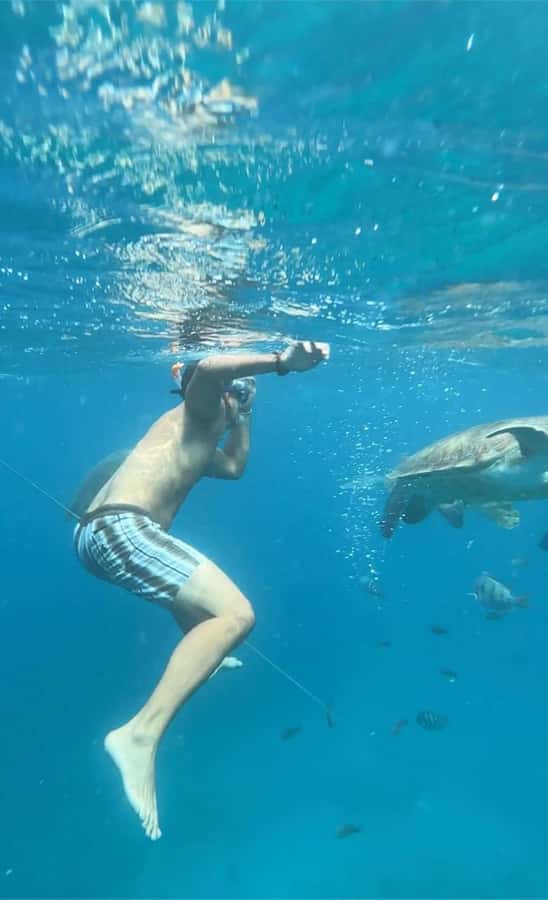 From Mindelo: Snorkel and Swim with Sea Turtles - Snorkeling for a maximum of 20 minutes