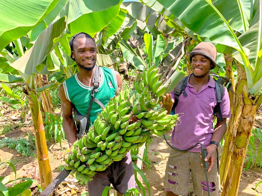 From Praia: Banana Plantation Tour and Cuscuz Workshop - From Praia to Santa Cruz by road