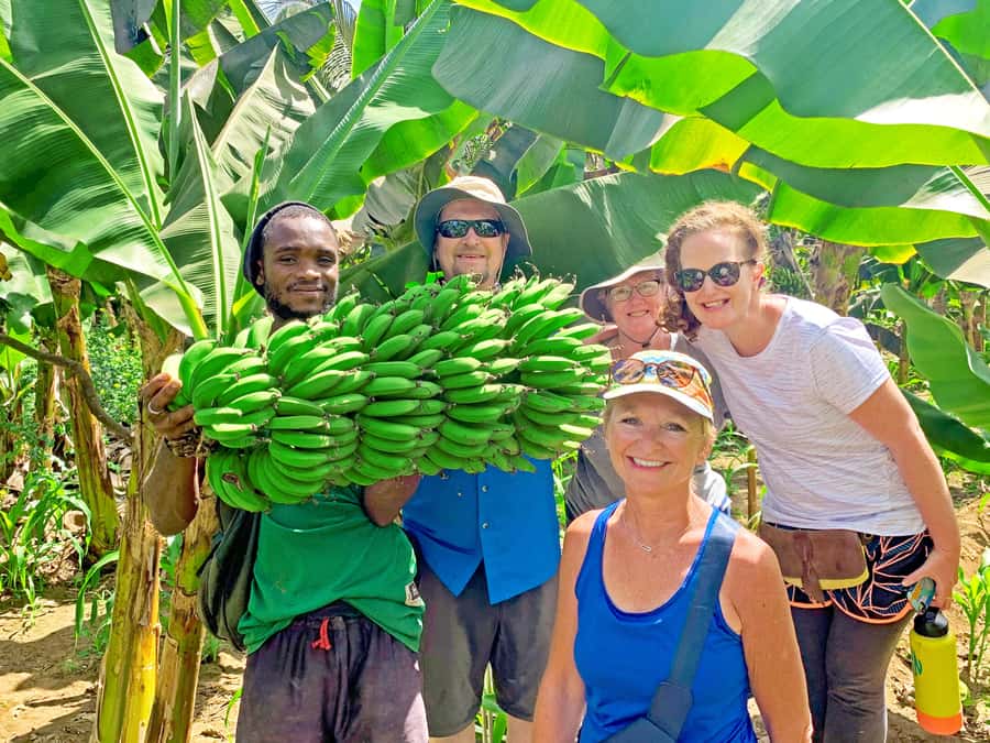 From Praia: Banana Plantation Tour and Cuscuz Workshop - Walking through Santiago’s largest plantation