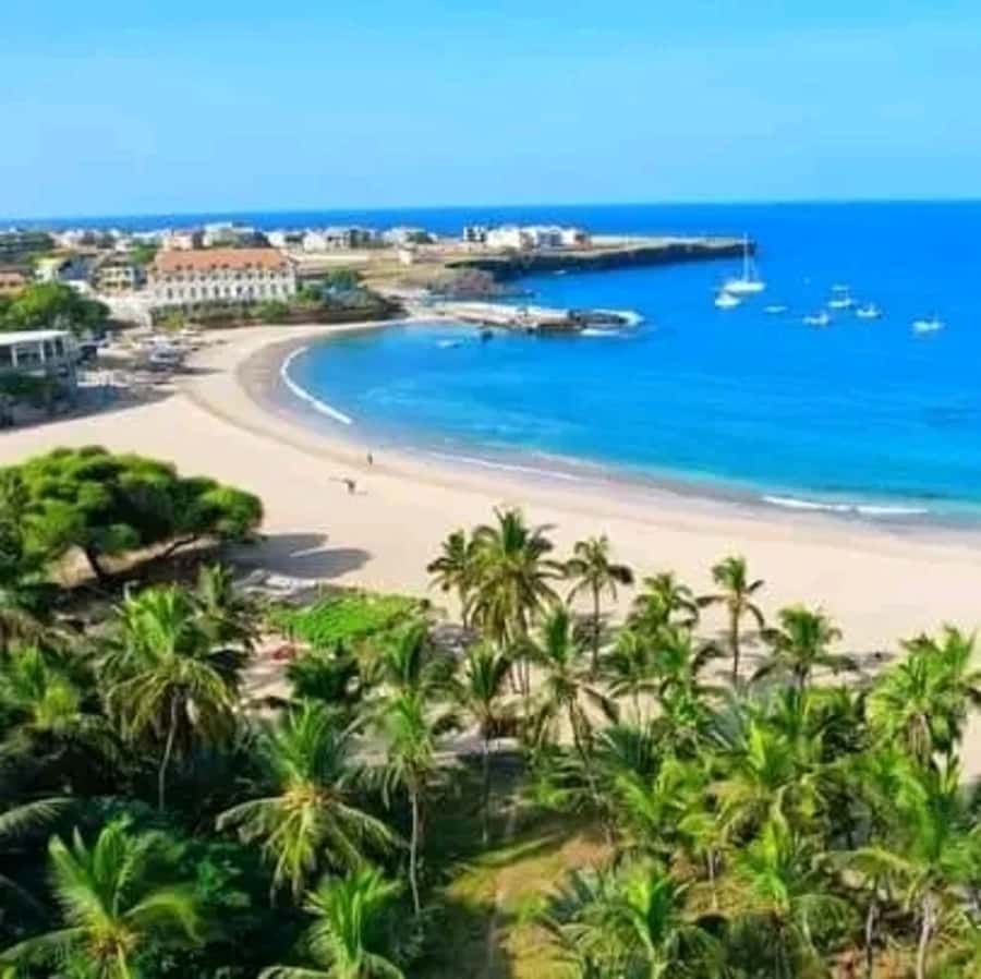From Praia: Explore the island with local Tour guide - Why this is a strong one-day tour from Praia