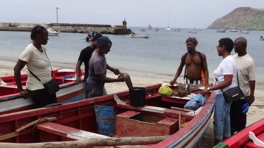 From Praia: Explore the island with local Tour guide - Tarrafal offers the day’s main pause