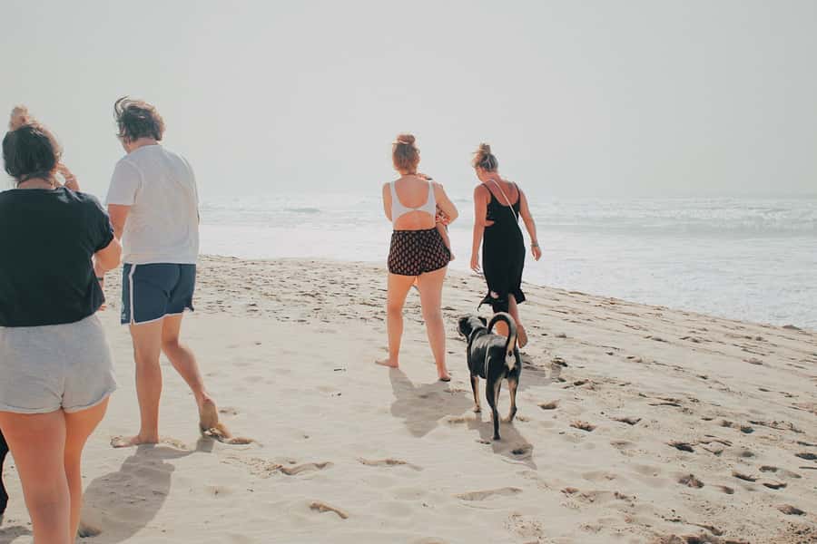 From Praia: Explore the island with local Tour guide - Your guide can shape the whole experience