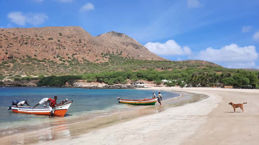 From Praia: Santiago Island Highlights Tour - Serra Malagueta Natural Park and the island’s plant life