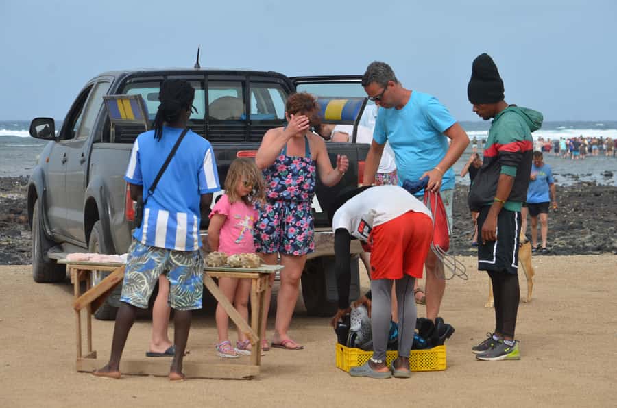 From Sal Island: Blu eye, Salt lake, Lemon Sharks & Palmeira - Terra Boa brings the desert mirage