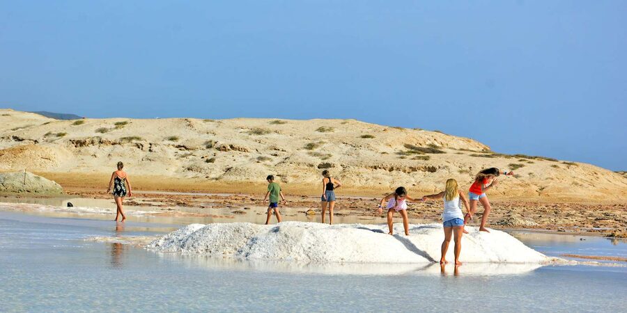 From Sal Island: Blu eye, Salt lake, Lemon Sharks & Palmeira - Espargos is your practical lunch stop