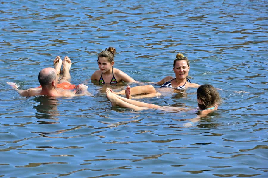 From Sal Island: Blu eye, Salt lake, Lemon Sharks & Palmeira - Shark Bay is the day’s big thrill