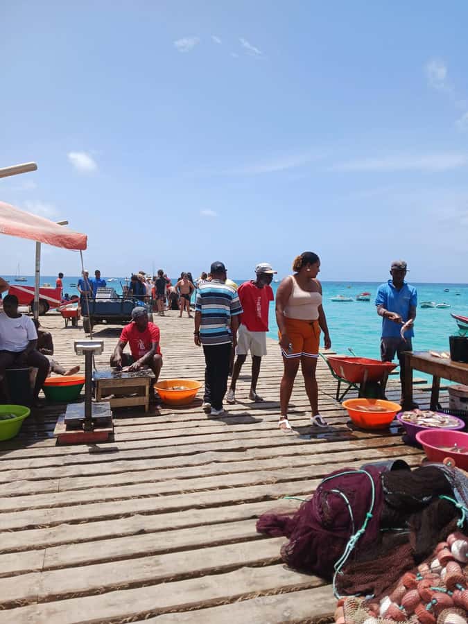 From Sal Island: Blu eye, Salt lake, Lemon Sharks & Palmeira - What the guides add to the day