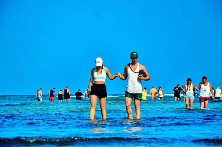 From Sal Island: Blue Eye, Salt Lake, Lemon Sharks, Palmeira - Key points to know before you book