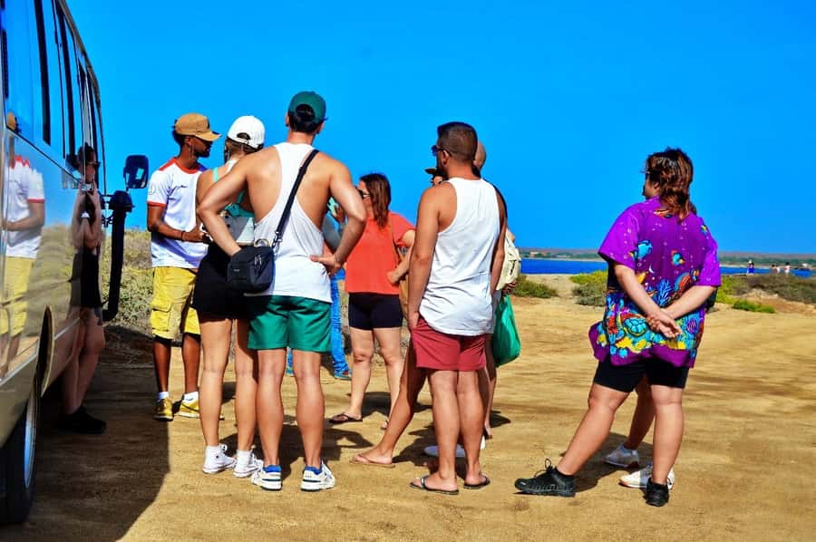 From Sal Island: Blue Eye, Salt Lake, Lemon Sharks, Palmeira - Floating at Pedra de Lume Salt Pans