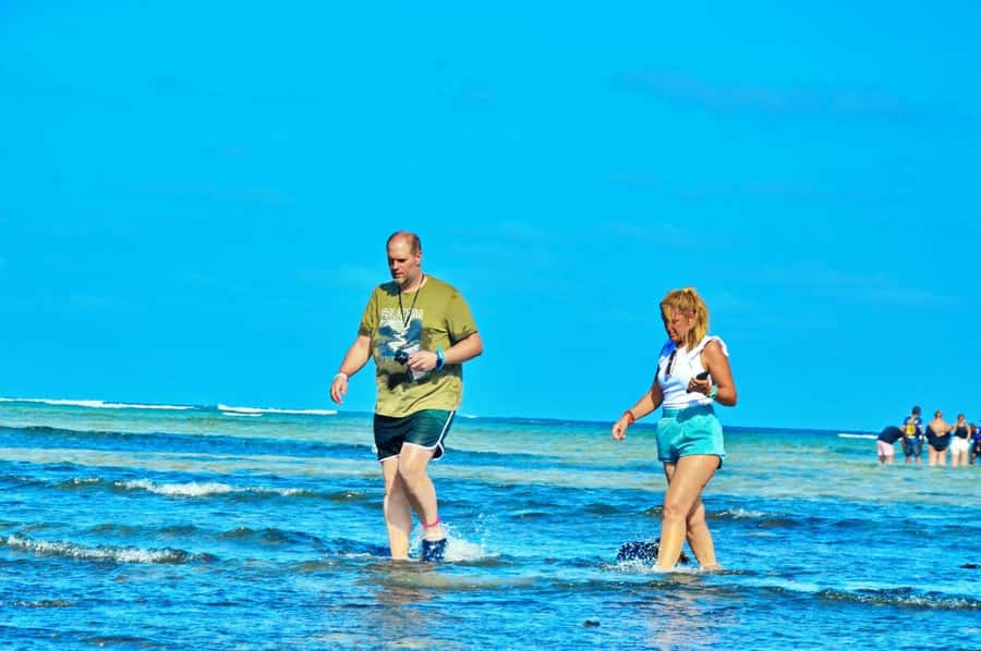 From Sal Island: Blue Eye, Salt Lake, Lemon Sharks, Palmeira - Murdeira Bay starts the day with sea air