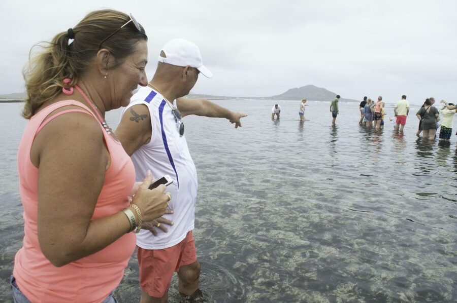 From Santa Maria: Guided Lemon Shark Watching - The 25-minute ride from Santa Maria