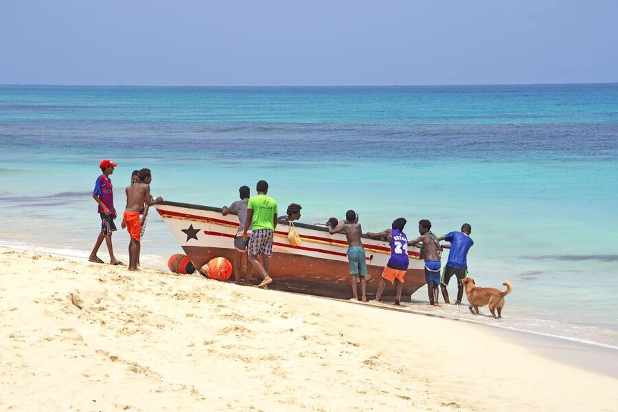 From Santa Maria: Sal Island Private Day Trip - Shark Bay and the lemon sharks