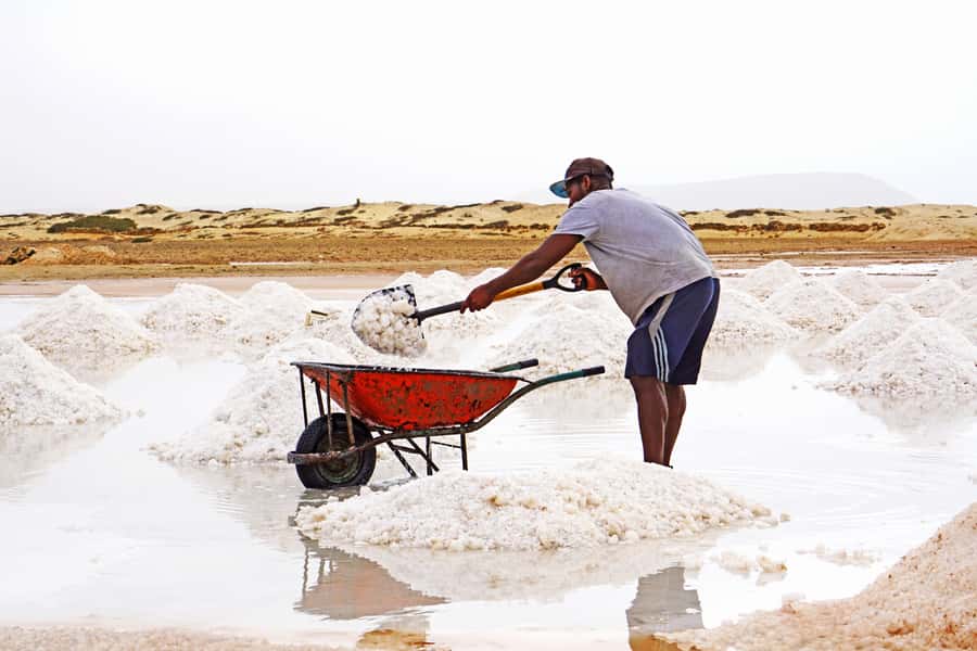 From Santa Maria: Sal Island Private Day Trip - Pedra de Lume and the salt crater