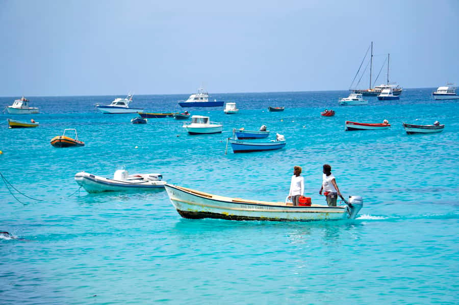 From Santa Maria: Sal Island Private Day Trip - The vehicle and rough-road question