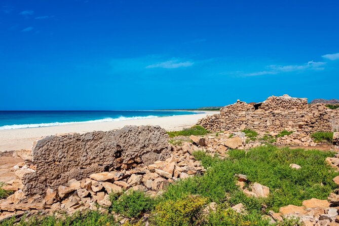 Full Day Boa Vista Island Guided 4X4 Tour with Beachfront Lunch - Why this 4x4 day makes sense on Boa Vista
