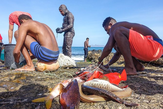 Full Day Island Tour, Highlights of São Vicente - Who will enjoy this São Vicente day most?