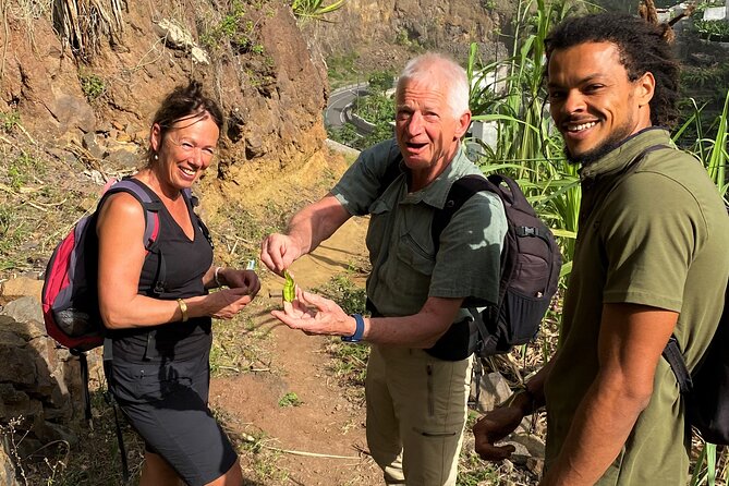 Full-Day Island Tour in Santo Antão with Lunch Included - Cova Crater and its cooler mountain air