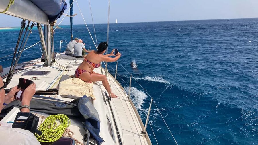 Full day sailing boat in Sal, Cape Verde:taste the Atlantic! - Watching Sal’s coast from the Atlantic