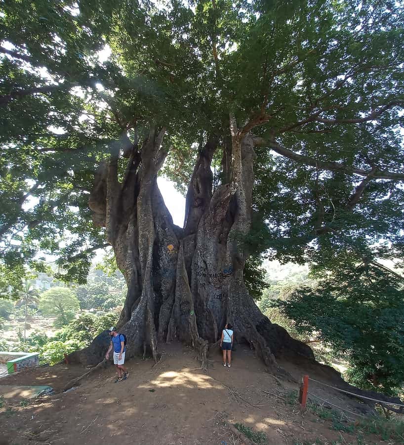 Full-Day Santiago – Villages, Nature & Local Culture - A morning start from Praia