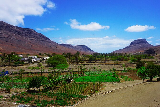 Full-Day São Vicente Island Experience with a Local Guide - Lunch in Salamansa, with one important timing warning