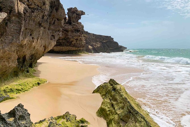 Full Day South to Southwest Exploration in Boa Vista Island - Key points at a glance