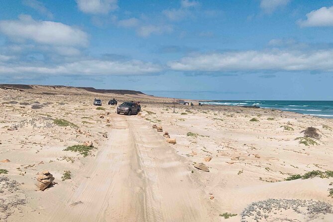 Full Day South to Southwest Exploration in Boa Vista Island - Curral Velho, salt, shells, and an empty village