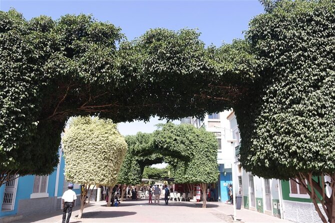 Guided city Tour Praia, Highlights tour - What $22.37 buys you