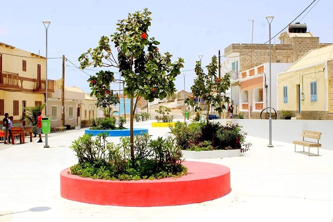 Guided Full Day Island Tour in Boa Vista with Lunch - Santa Monica Beach, 11.5 kilometers of sand