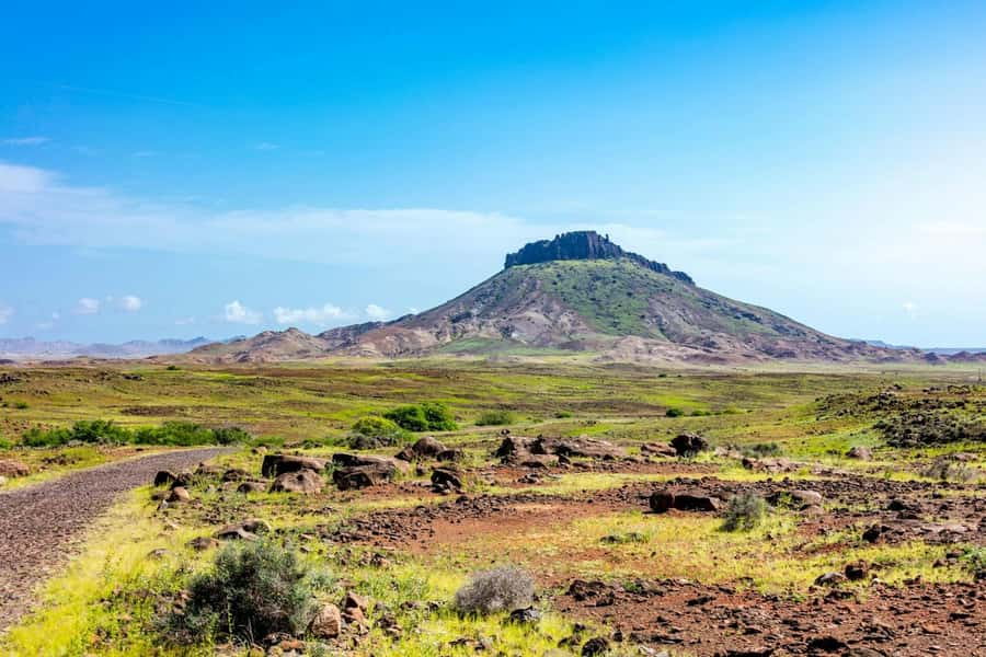 Half Day 4x4 Tour with Viana Desert and Villages - What $49 gets you