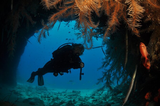 Half-Day Diving in Sal - Quick points to know
